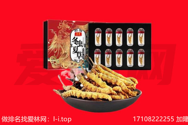 平塘县回收虫草.jpg